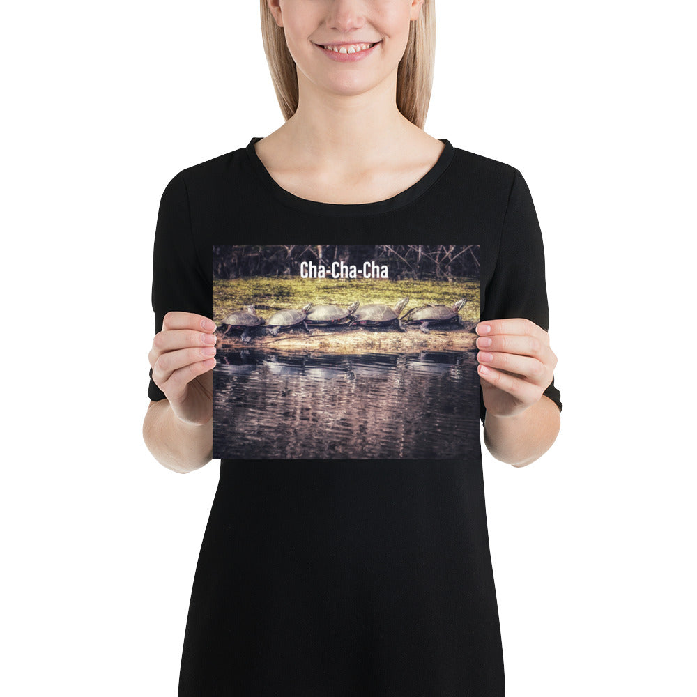 Funny 5 Turtle Cha-Cha-Cha Print