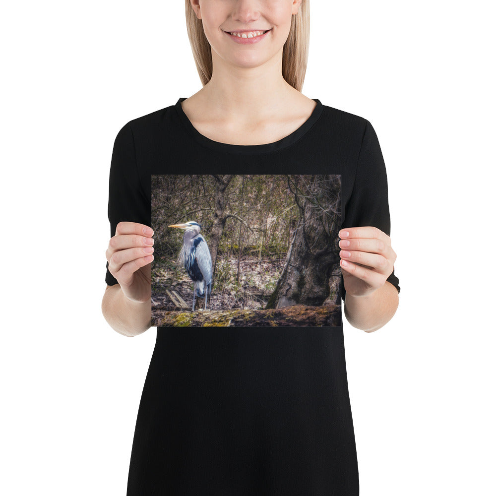Heron on a Log Print