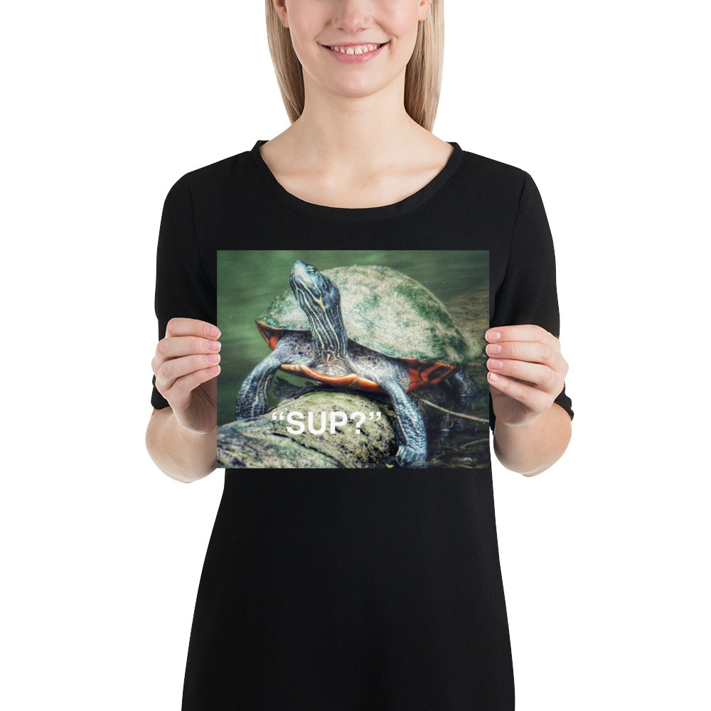 Funny Sup Turtle Print