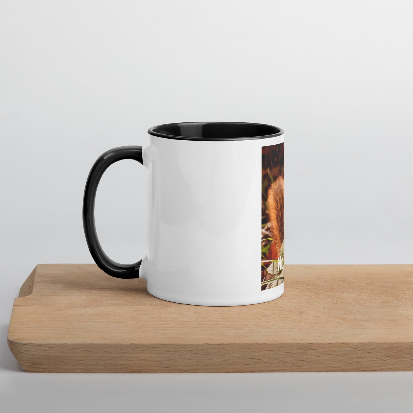 Funny Squirrel Mug (with Color Inside)