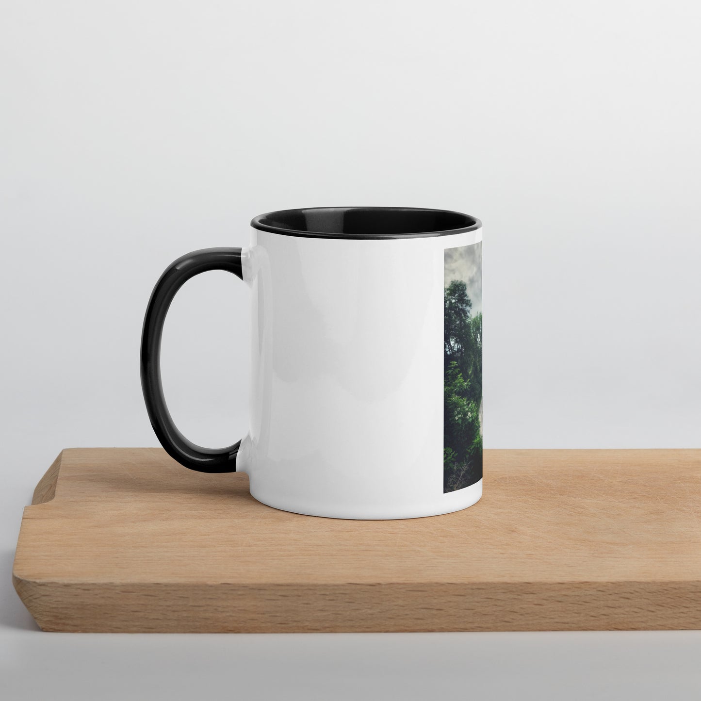 Forest Pathway Mug with Color Inside