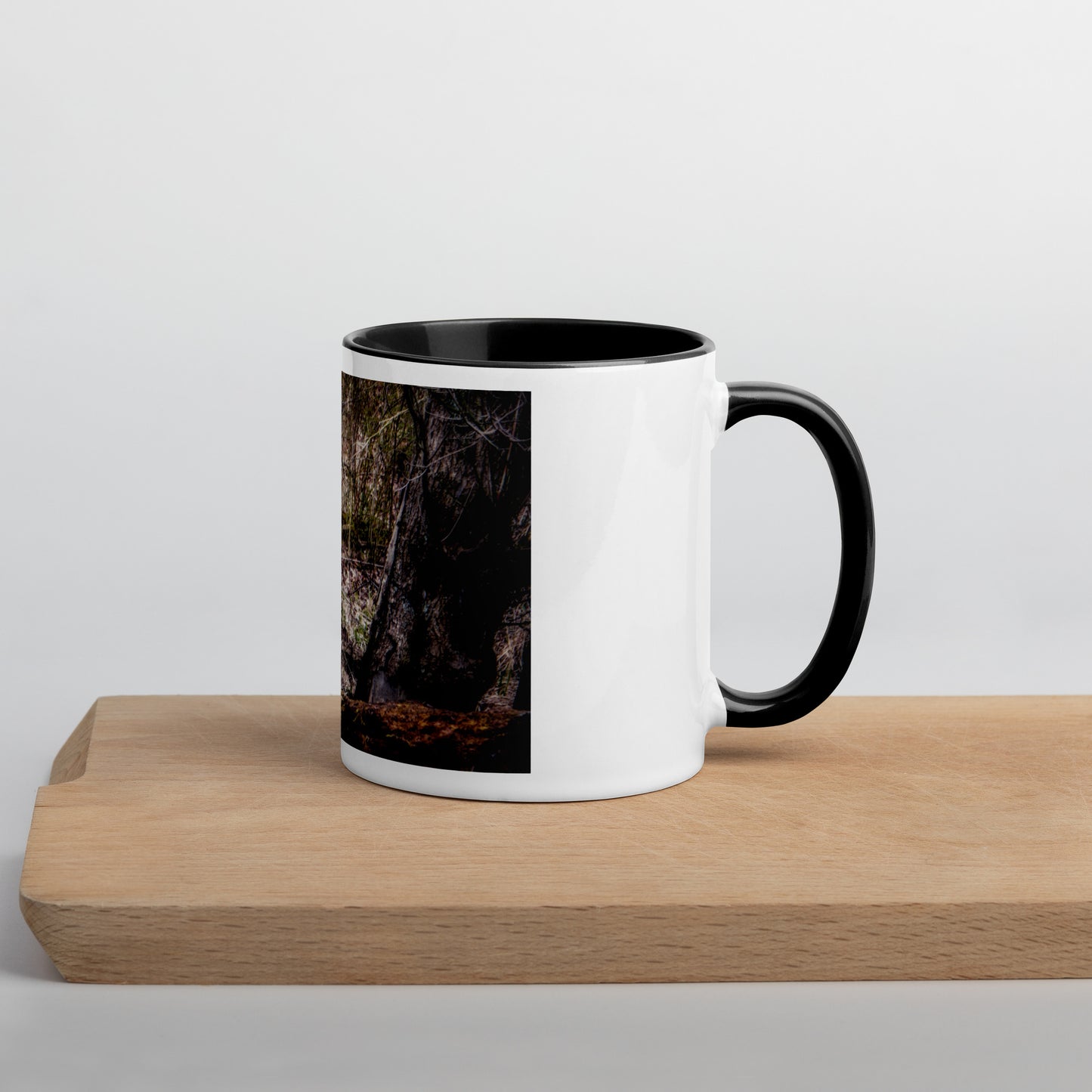 Heron on Log Mug (with Color Inside)