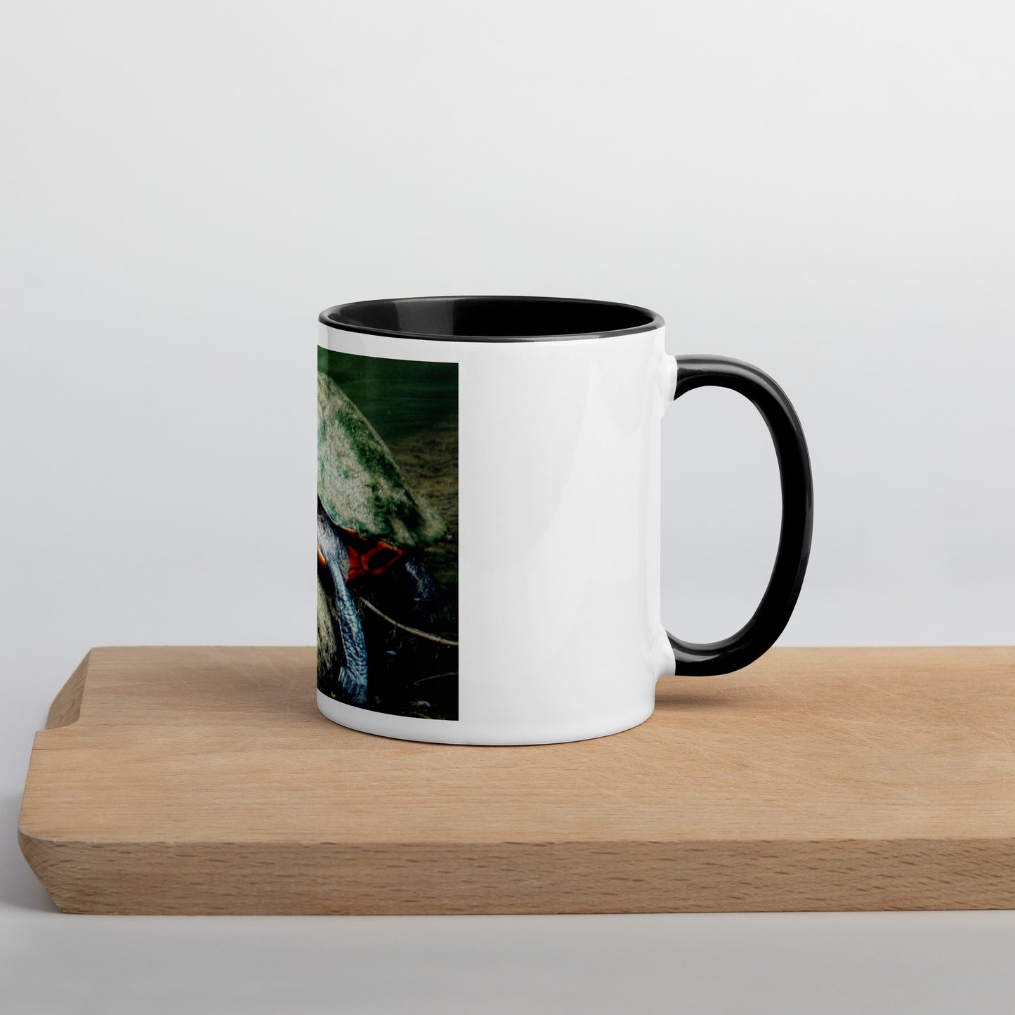Turtle on a Log Mug (with Color Inside)