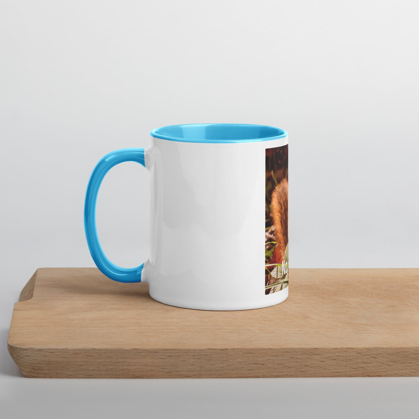 Funny Squirrel Mug (with Color Inside)