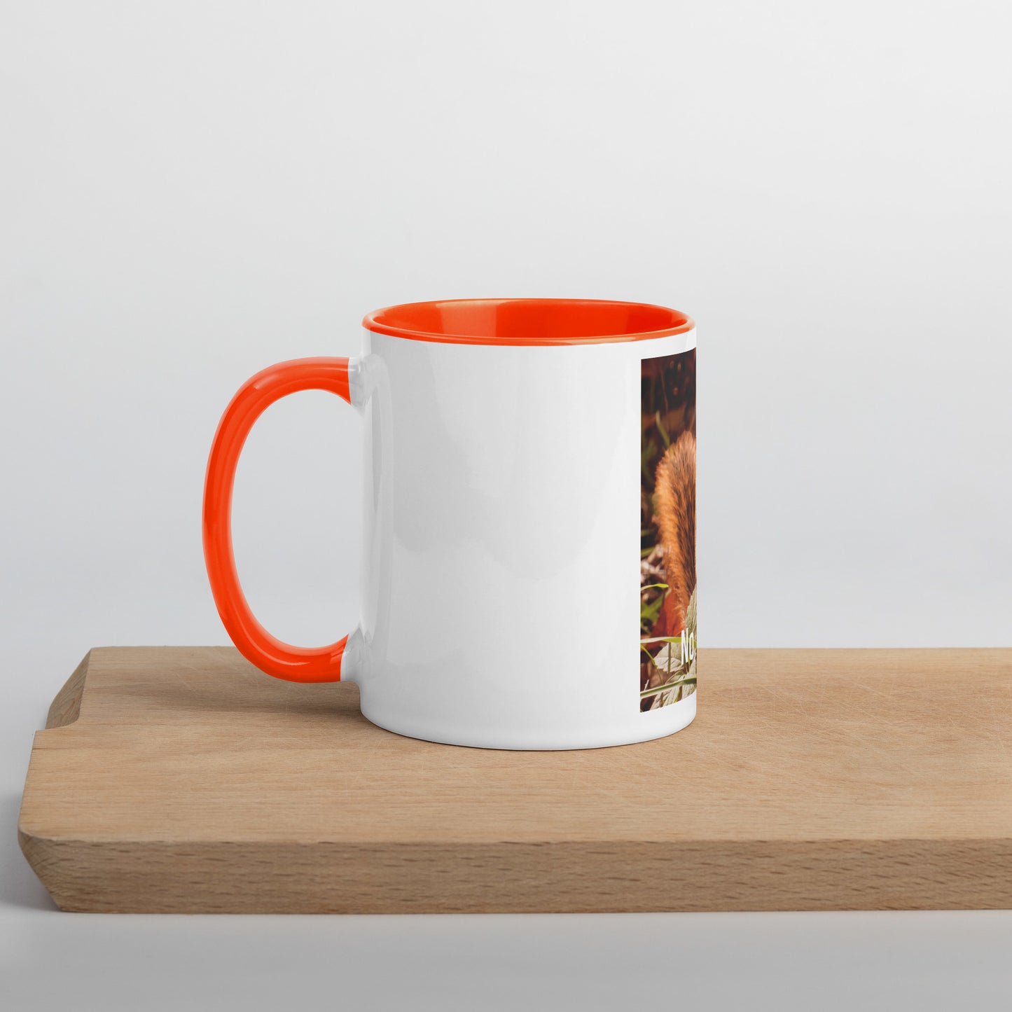 Funny Squirrel Mug (with Color Inside)