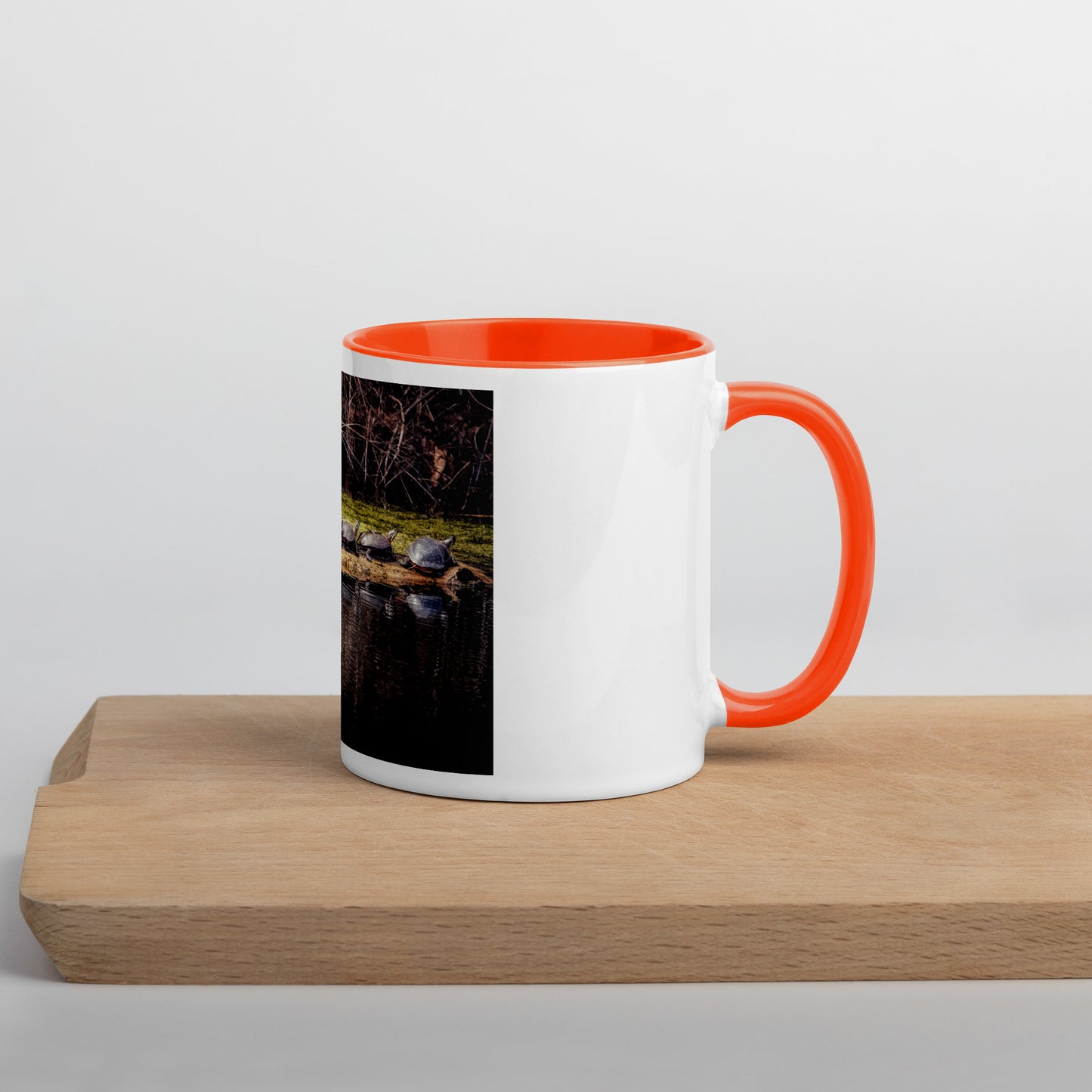 Turtle Mug Photo Gift