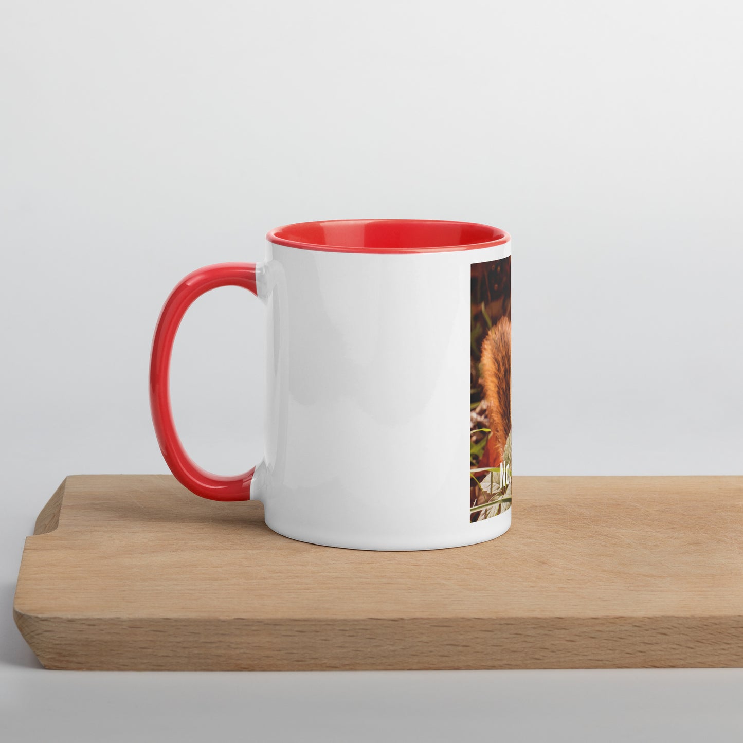 Funny Squirrel Mug (with Color Inside)