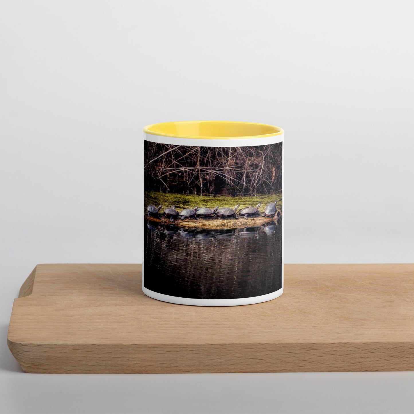 Turtle Mug Photo Gift