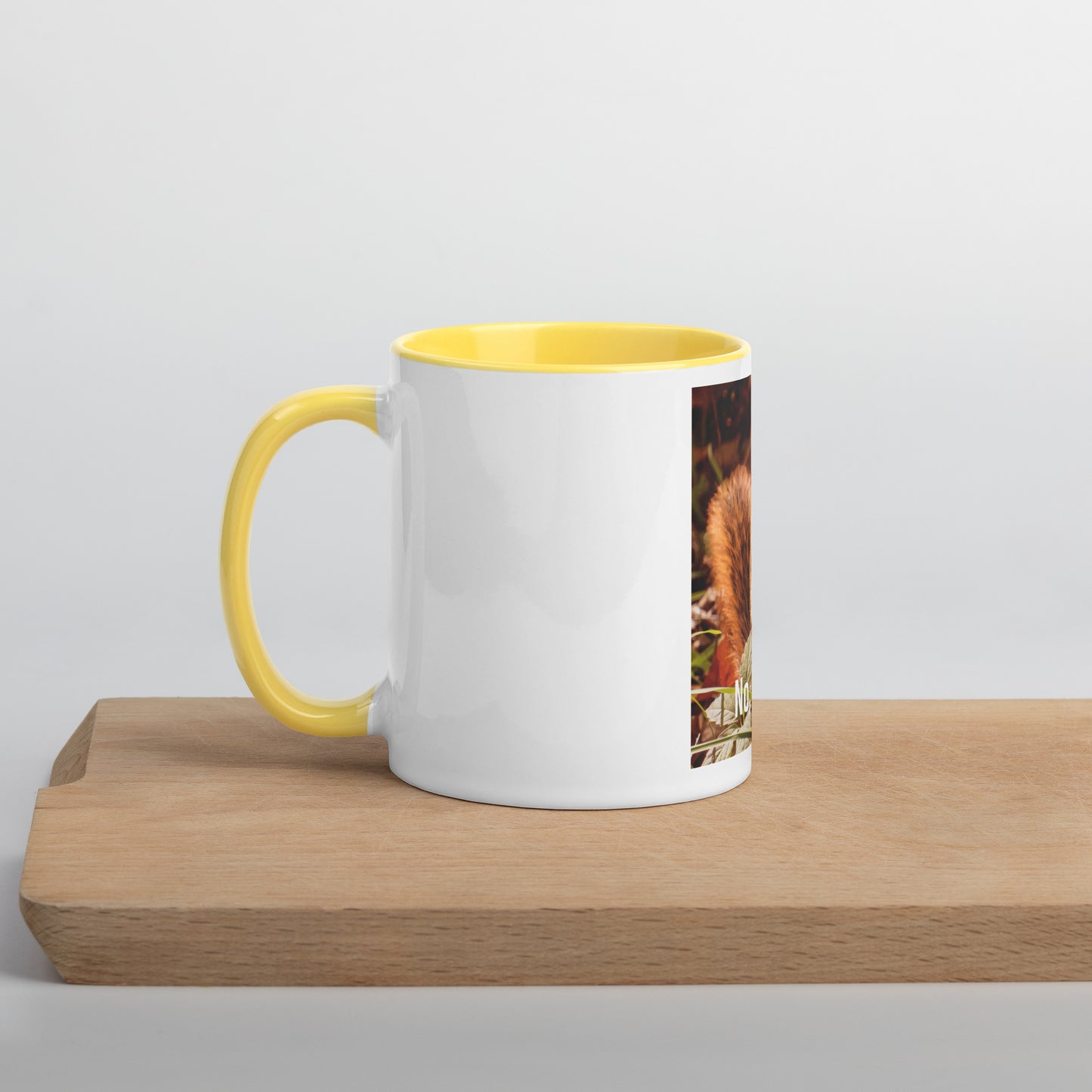 Funny Squirrel Mug (with Color Inside)