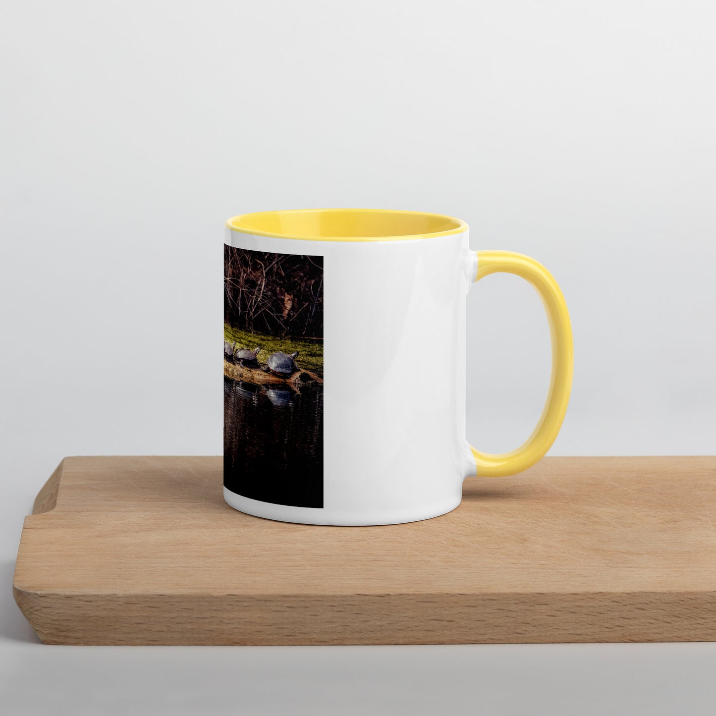 Turtle Mug Photo Gift