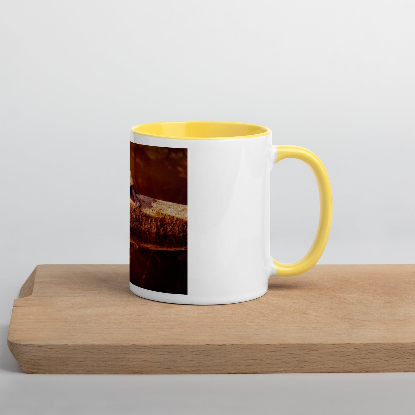 Fun in the Sun Turtle Mug (with Color Inside)