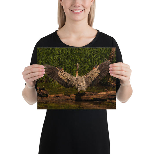 Heron Photo Poster Print