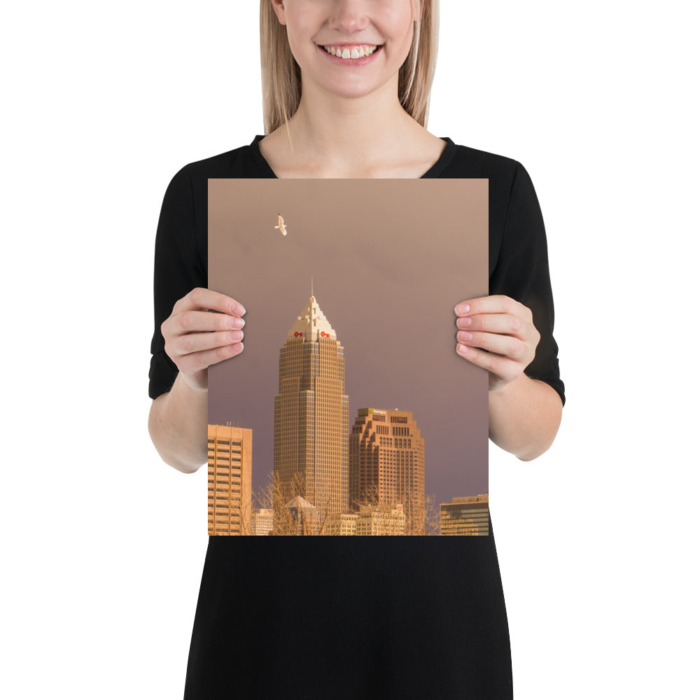 Downtown Cleveland Ohio Skyline Photo Print with Seagull