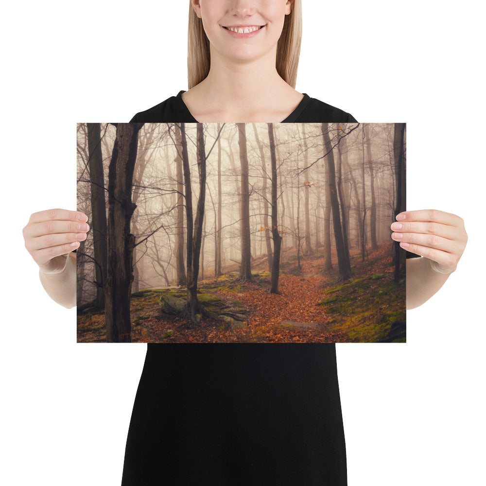 Forest Fog Photo Print Whipp's Ledges Hinckley Oho Cleveland Metroparks