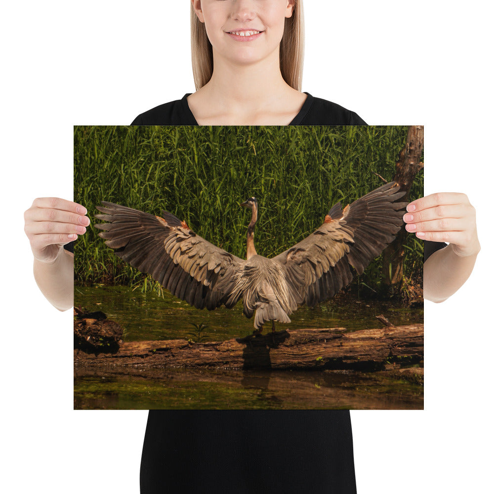 Heron Photo Poster Print