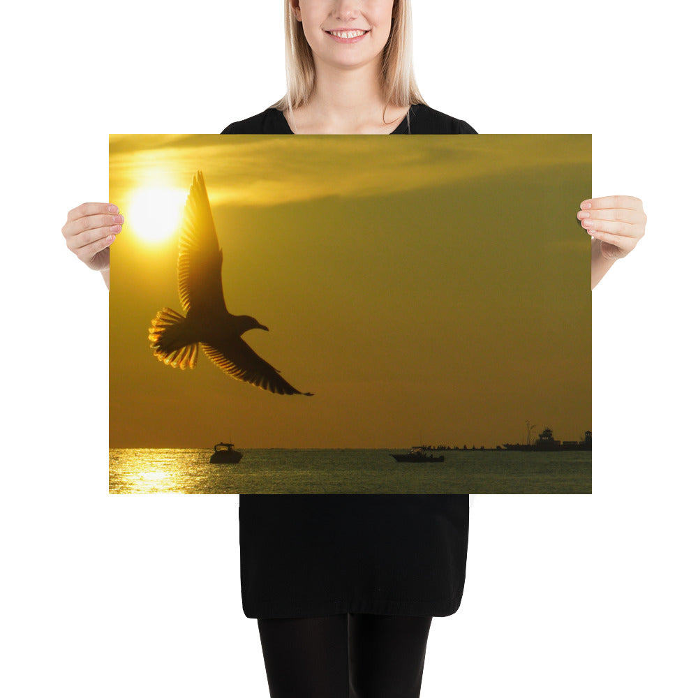 Sunset Seagull Photo Print