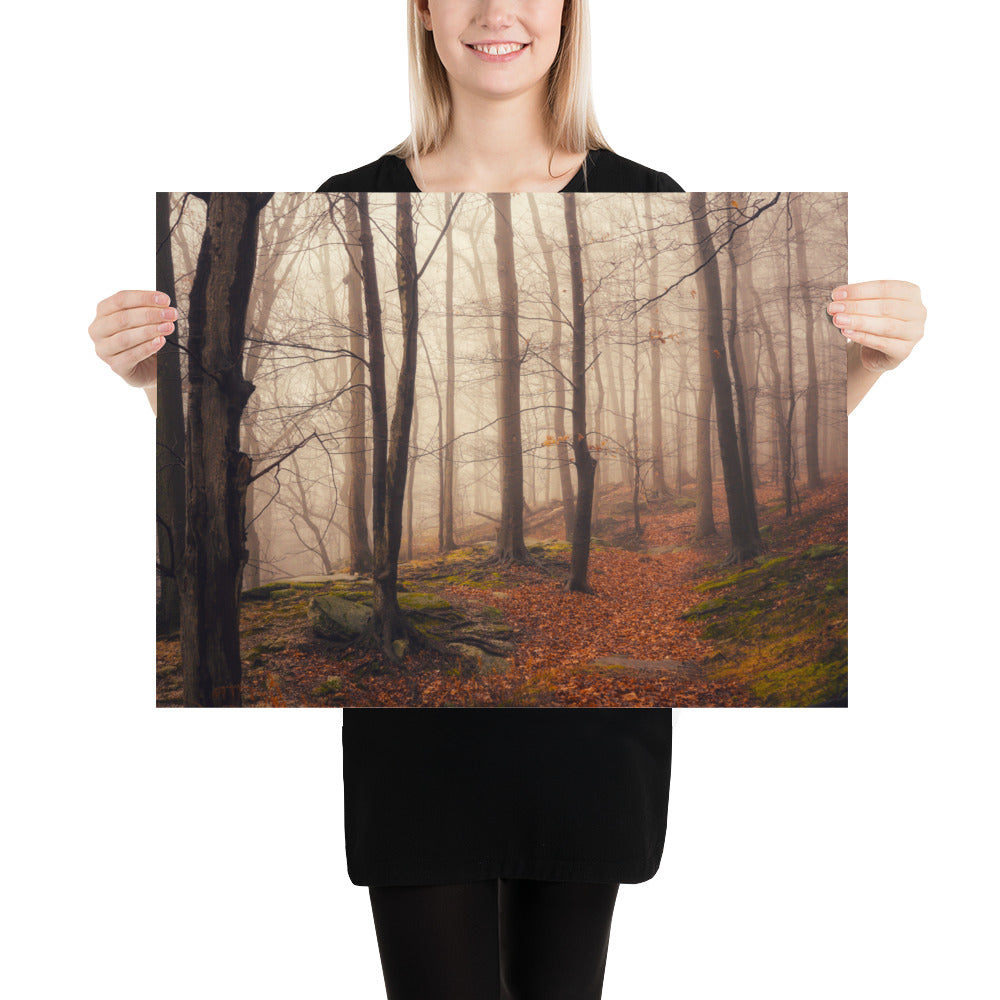 Forest Fog Photo Print Whipp's Ledges Hinckley Oho Cleveland Metroparks