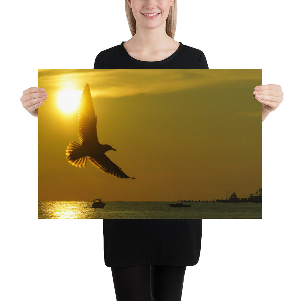 Sunset Seagull Photo Print