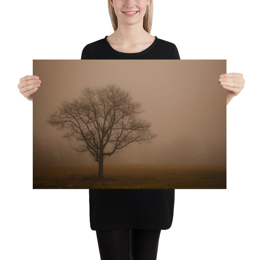 Foggy Photo of Tree in Cleveland Metroparks - Hinckley Ohio Print Gift