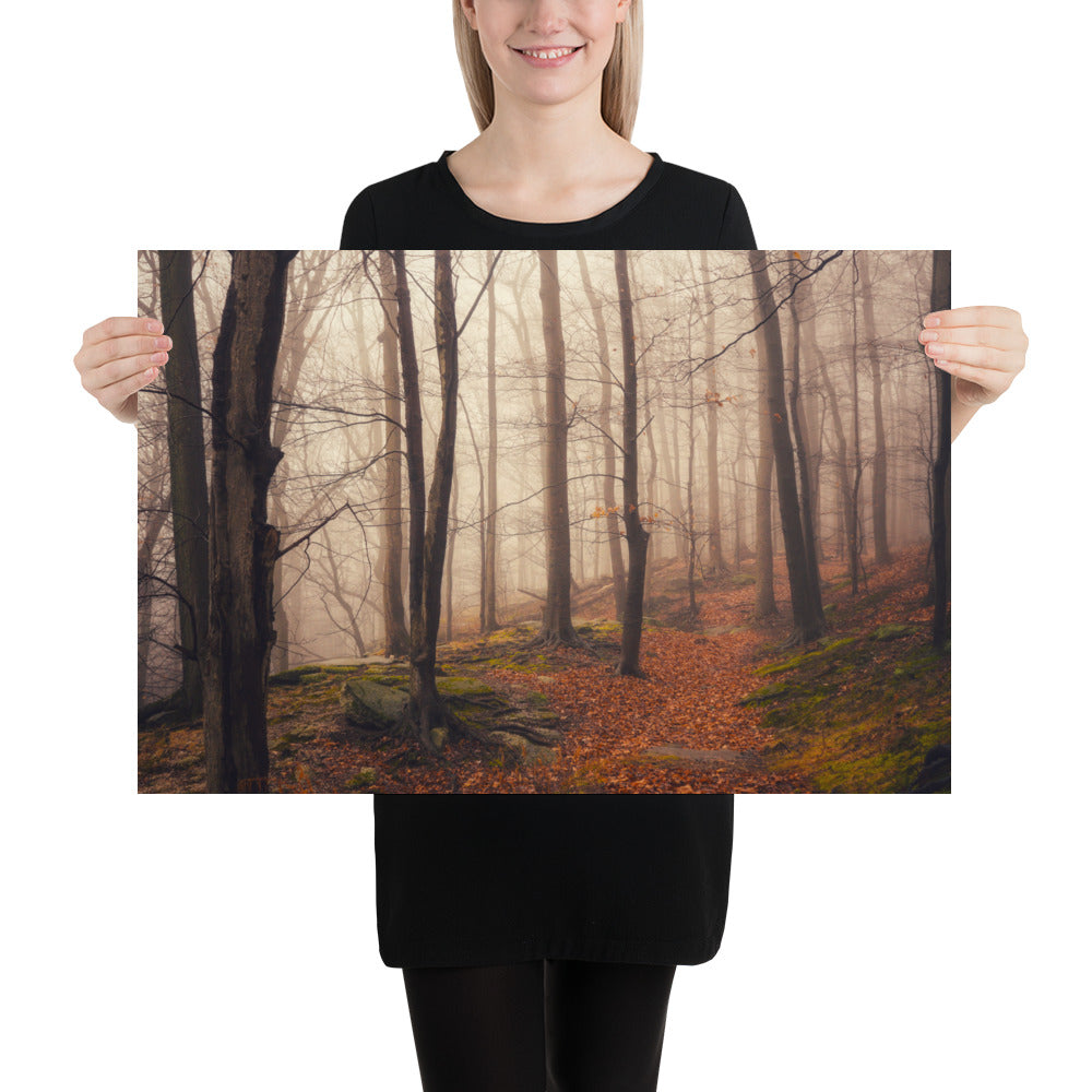 Forest Fog Photo Print Whipp's Ledges Hinckley Oho Cleveland Metroparks