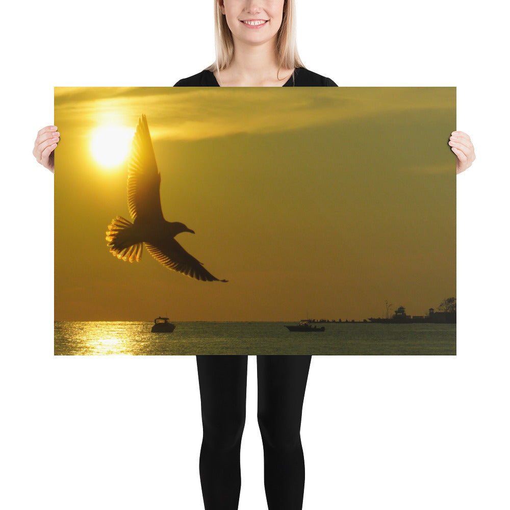 Sunset Seagull Photo Print