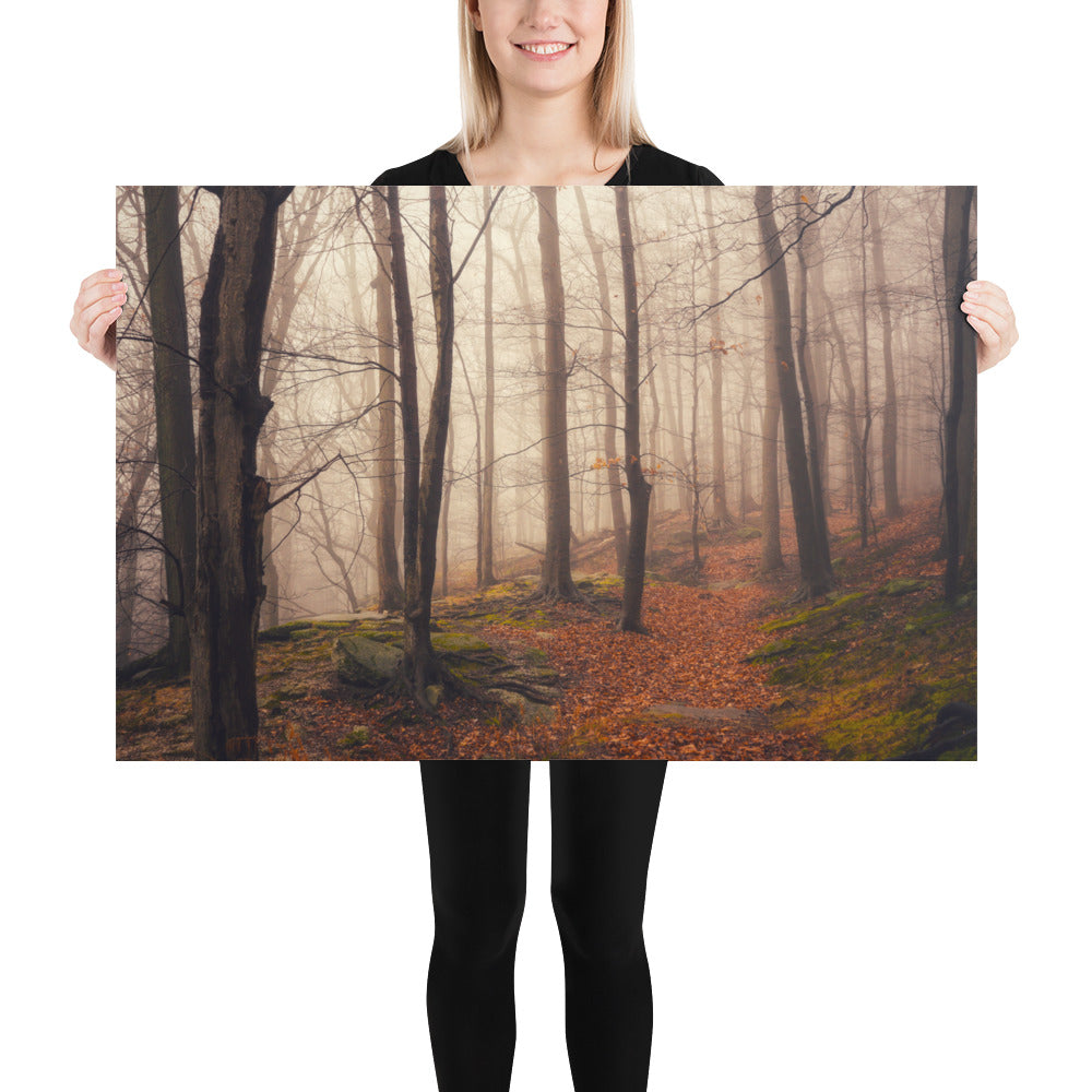 Forest Fog Photo Print Whipp's Ledges Hinckley Oho Cleveland Metroparks