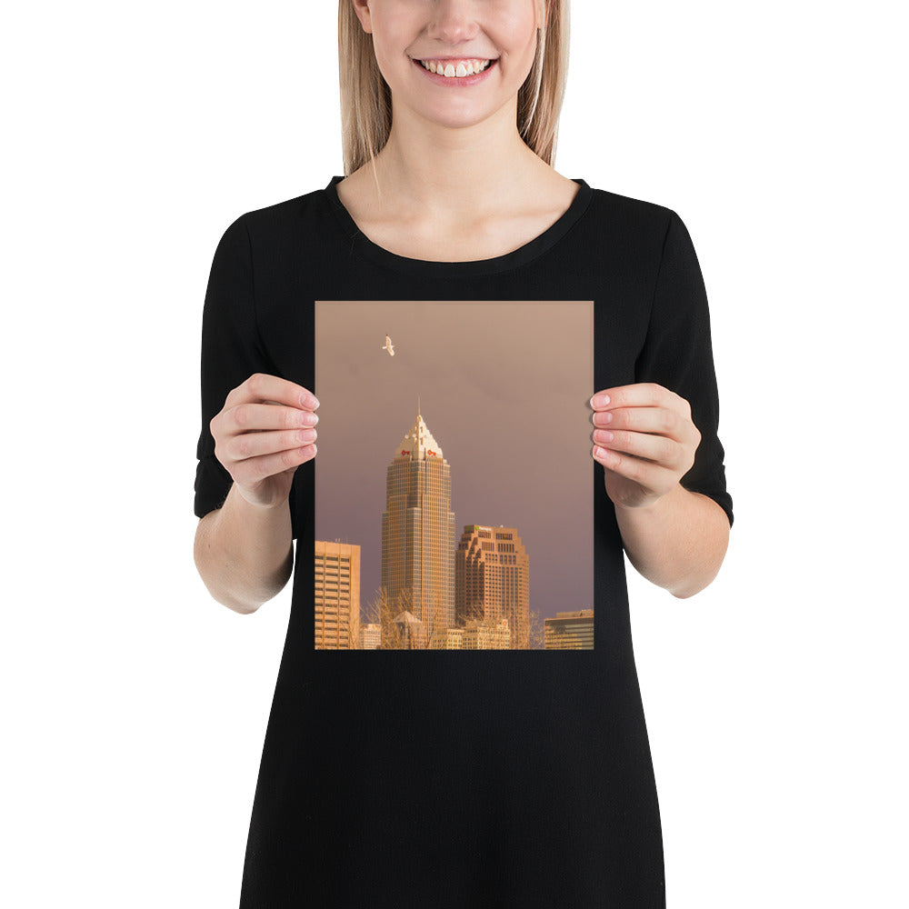 Downtown Cleveland Ohio Skyline Photo Print with Seagull