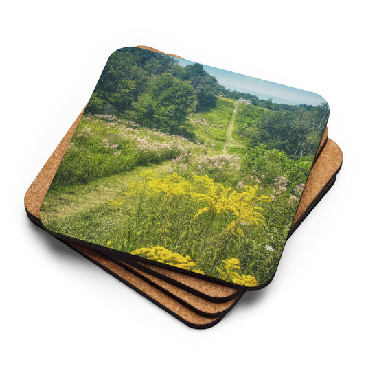 Cuyahoga Valley National Park Field Photo