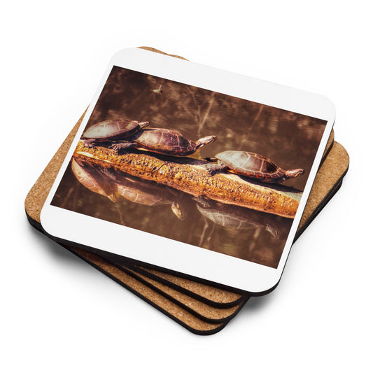 Gift a Picture: 3 Turtle Coaster
