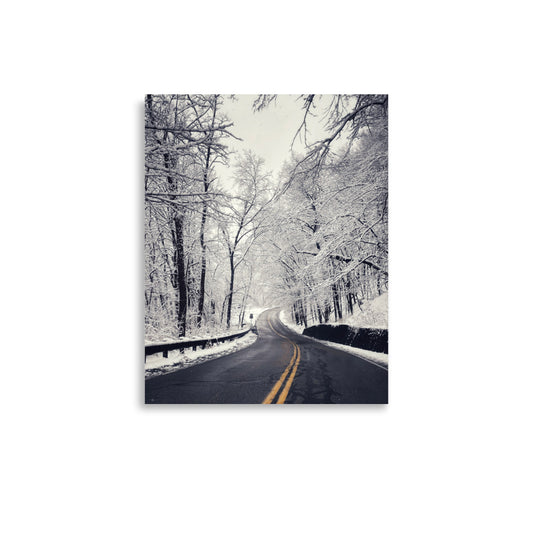 Winter Forest Road Print
