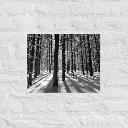 Snowy Forest Print