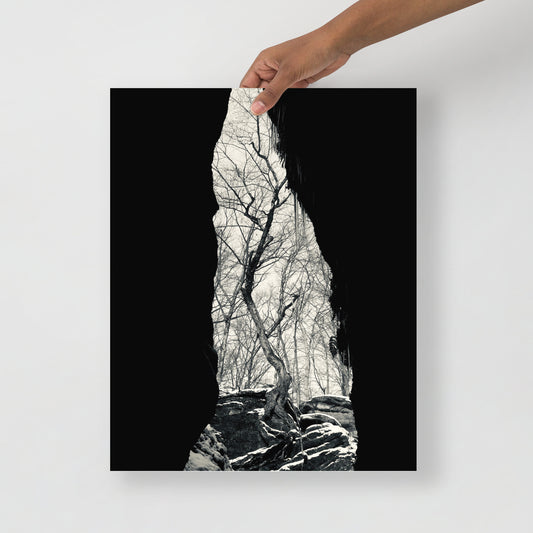 Forest Cave Print (Black and White)
