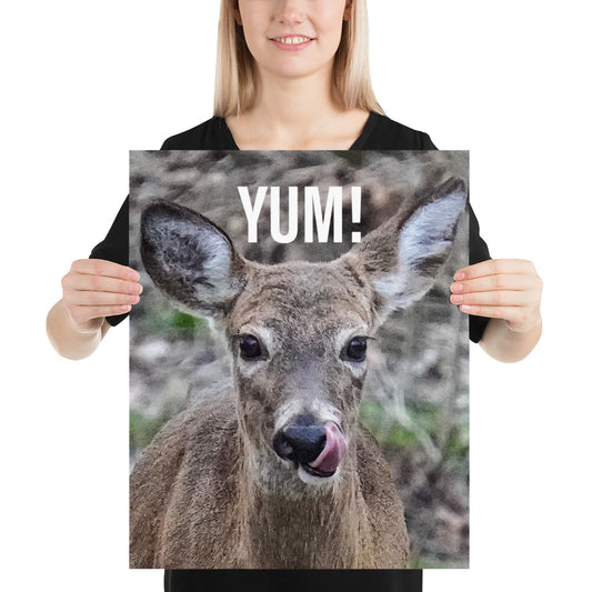 Funny Deer Poster