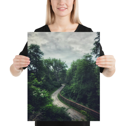 Forest Pathway Print