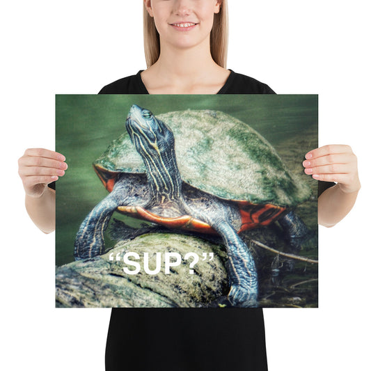 Funny Sup Turtle Print