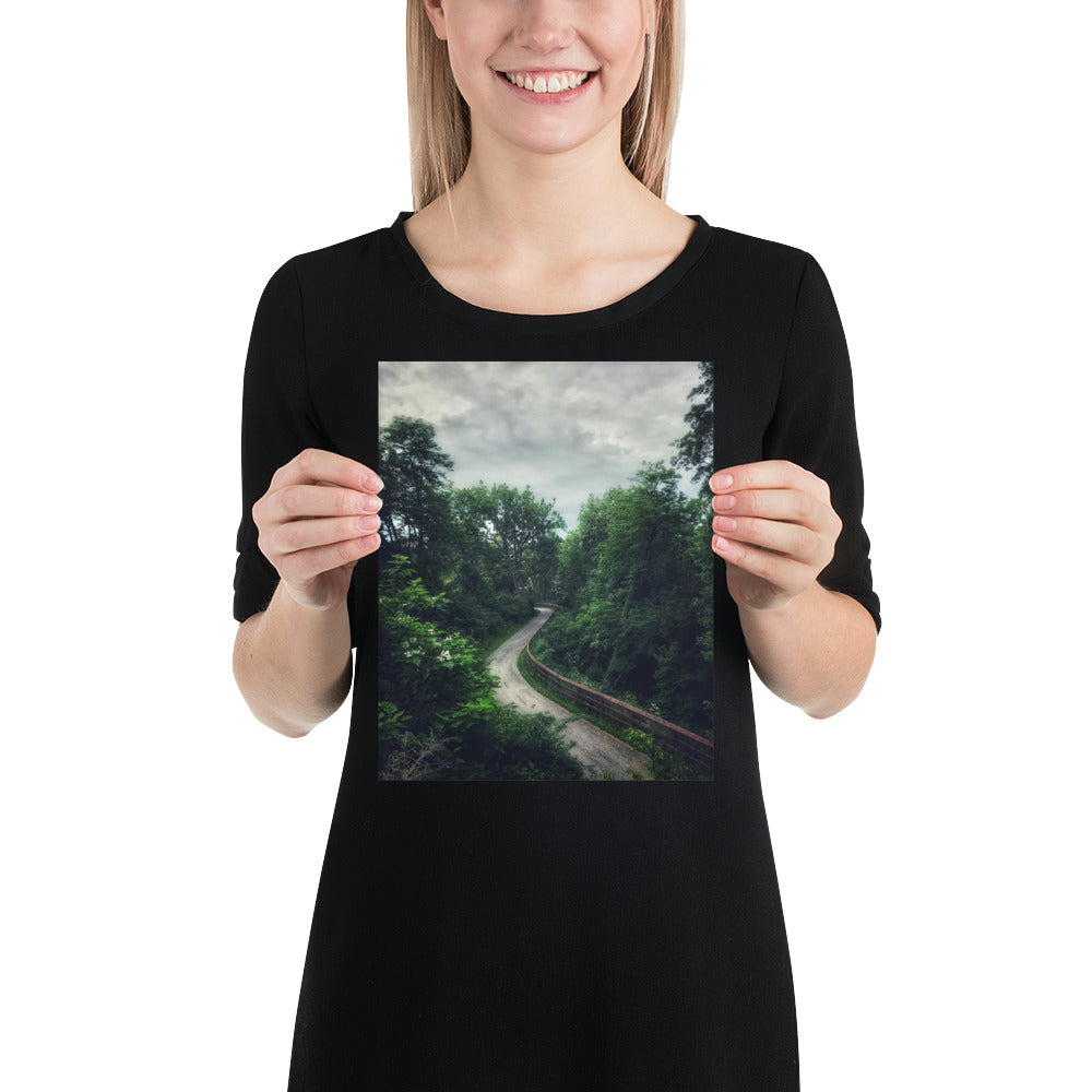 Forest Pathway Print