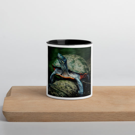 Turtle Glossy White Mug