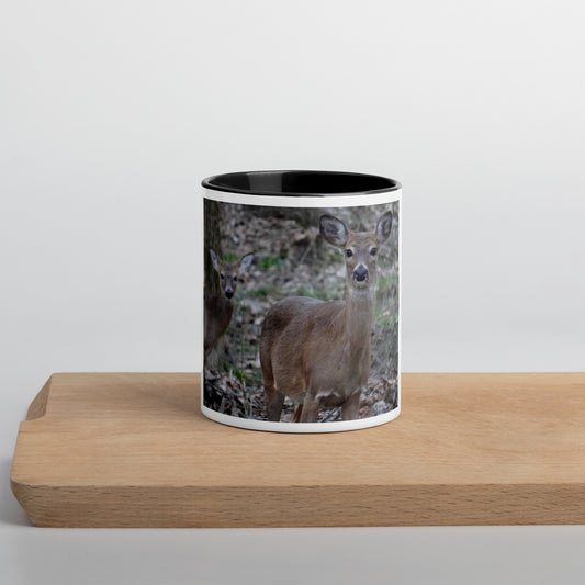 Deer Lover Coffee Mug Photo Gift