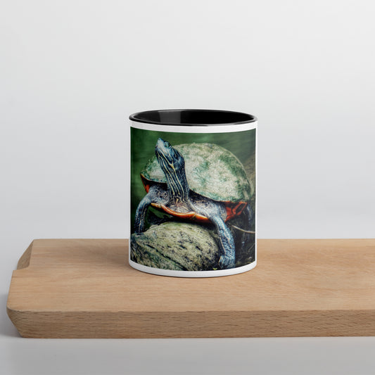 Turtle on a Log Mug (with Color Inside)