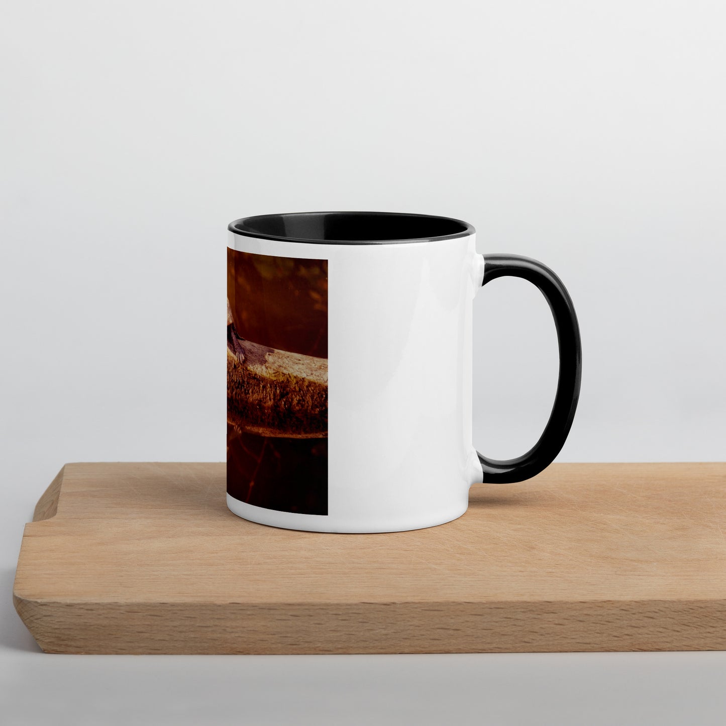 Fun in the Sun Turtle Mug (with Color Inside)