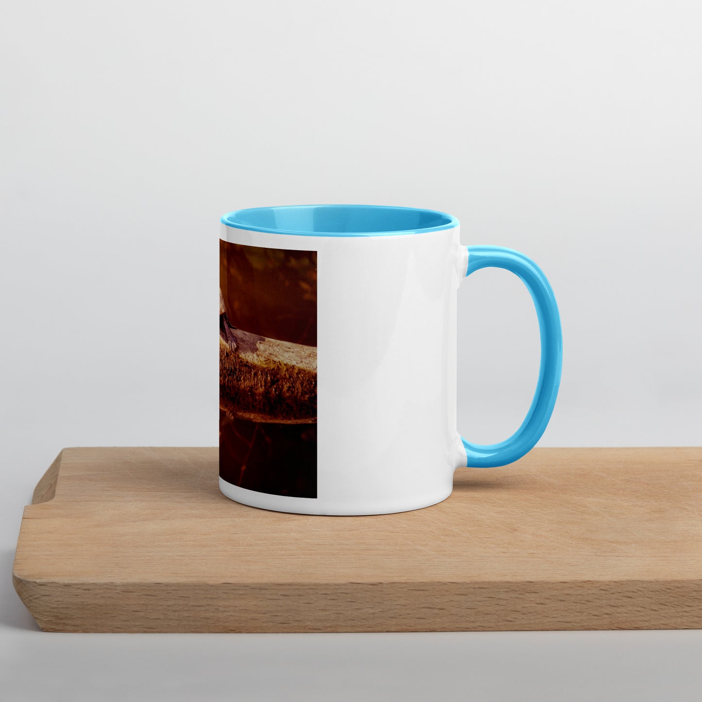 Fun in the Sun Turtle Mug (with Color Inside)